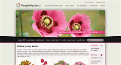 Desktop Screenshot of koupimkytku.cz